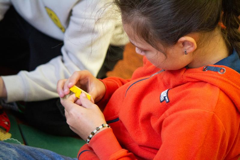 Workshop Build the Change na ZŠ Jungmannovy sady v Mělníku | Včely: Biodiverzita & Klimatická změna