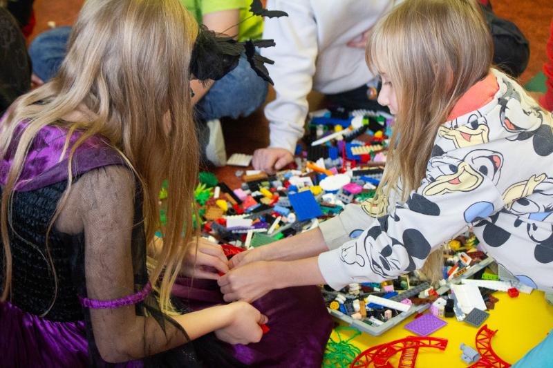 Workshop Build the Change na ZŠ Jungmannovy sady v Mělníku | Včely: Biodiverzita & Klimatická změna