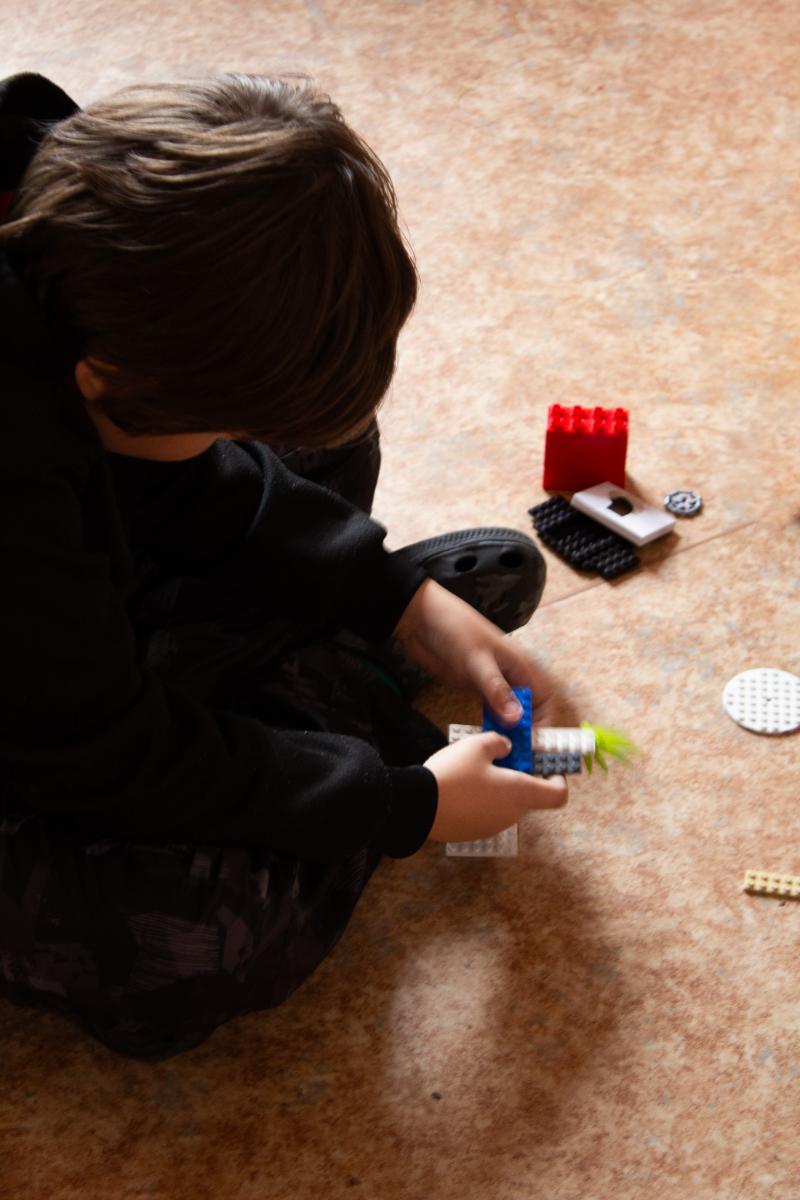 Workshop Build the Change na ZŠ Jungmannovy sady v Mělníku | Včely: Biodiverzita & Klimatická změna